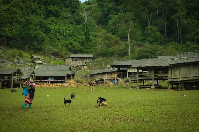 Những lưu ý khi du lịch tại Hang Táu - Ảnh từ Checkin Vietnam Những lưu ý khi du lịch tại Hang Táu - Ảnh từ Checkin Vietnam
