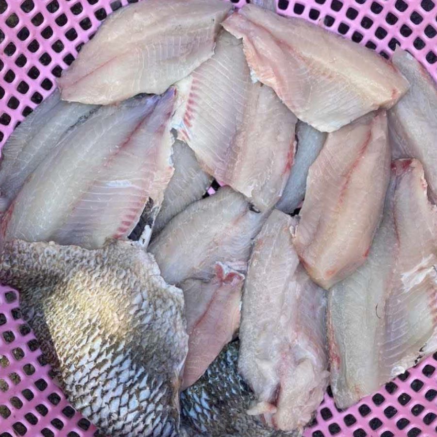 Thịt cá rô phi tươi ngon chất lượng - Ảnh từ Thao Tran