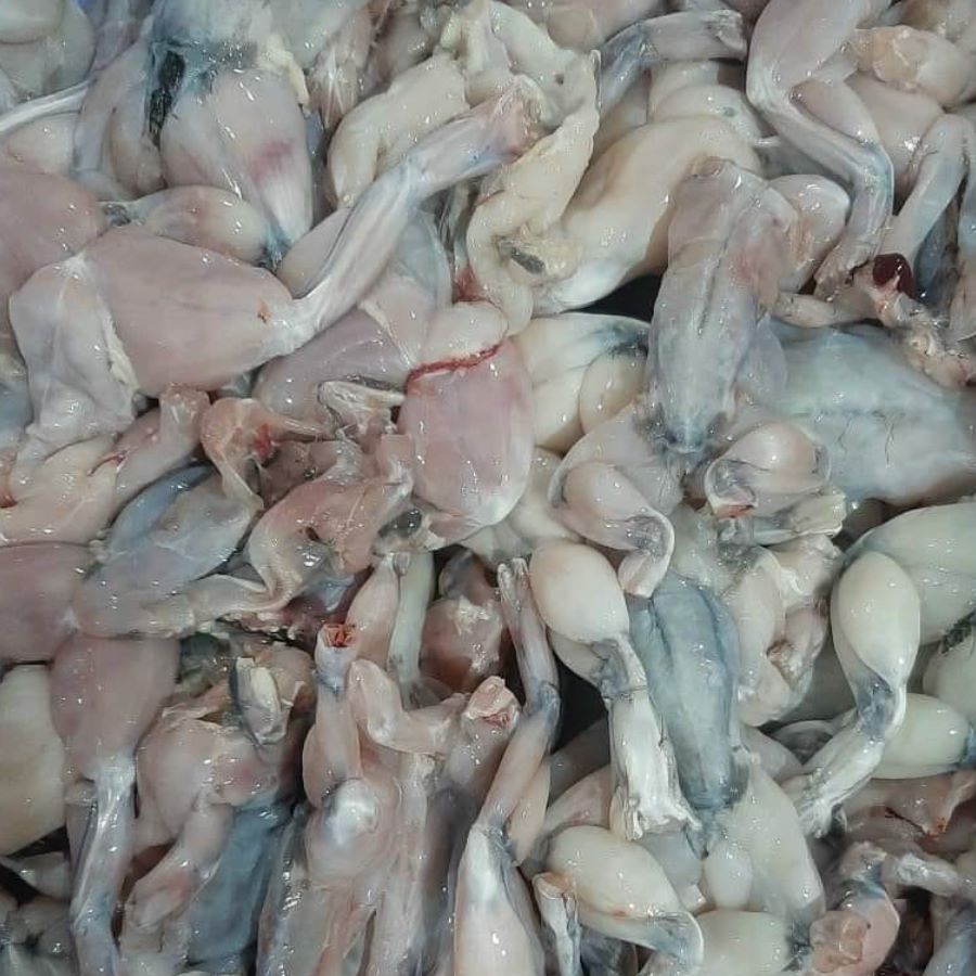 Thịt ếch đồng tươi ngon - Ảnh từ Phương Thanh