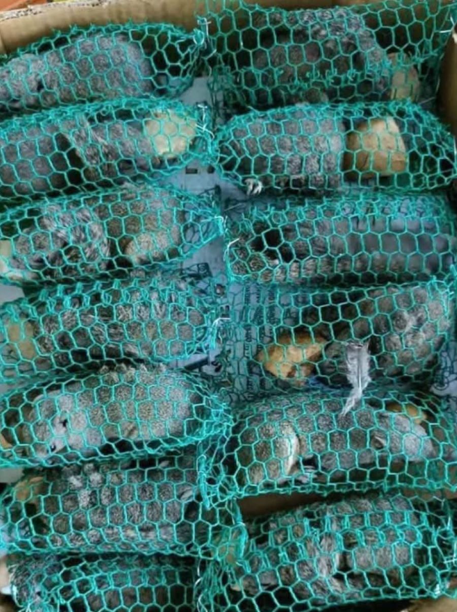 Thịt sóc chất lượng tại Đặc sản Tây Bắc - Ảnh từ Người Miền Núi