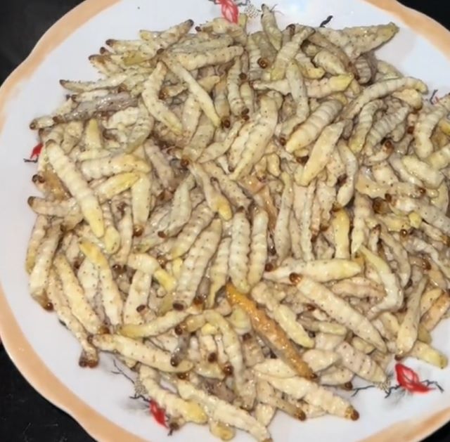 Sâu tre rang nước măng chua - Ảnh từ dinhthidiep90