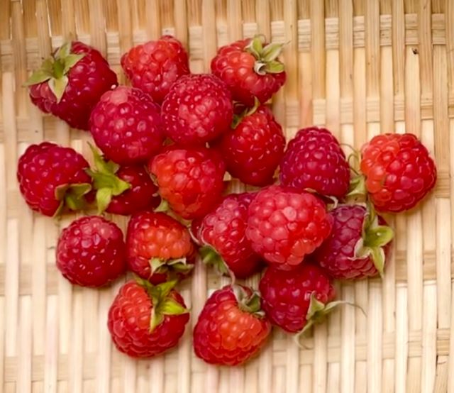 Đặc điểm của quả mâm xôi - Ảnh sưu tầm Đặc điểm của quả mâm xôi - Ảnh sưu tầm
