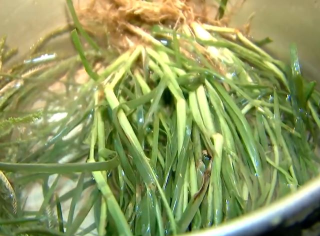 Dùng cỏ mần trầu đun với trái bồ kết sẽ giúp mái tóc khỏe và mượt hơn - Ảnh sưu tầm