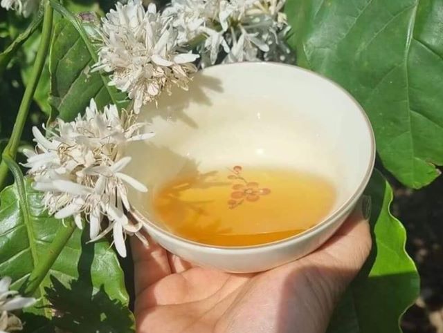 Cách dùng mật ong cho trẻ nhỏ và những lưu ý - Ảnh từ Hung Nguyen