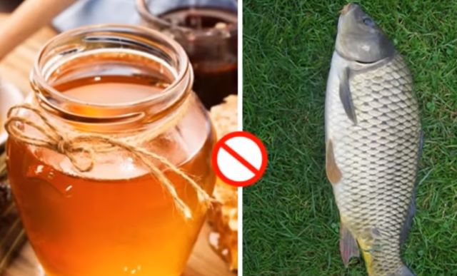 Không nên dùng chung mật ong với cá diếc - Ảnh sưu tầm