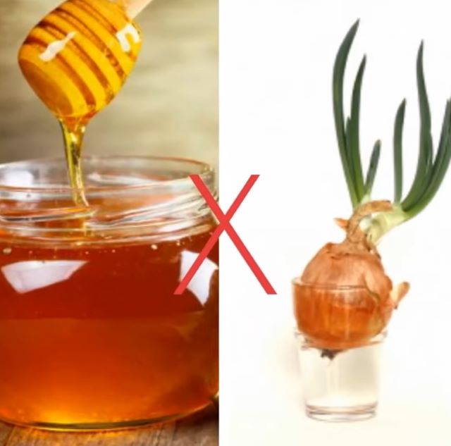 Không nên kết hợp mật ong với hành tây - Ảnh sưu tầm