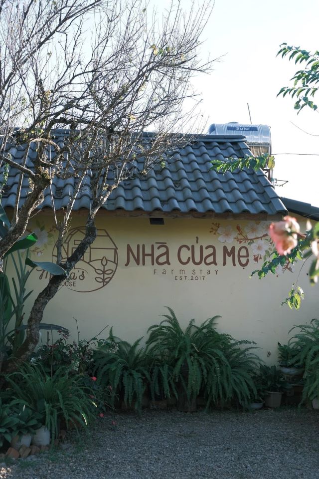 Mama's house&nbsp;- Ảnh sưu tầm