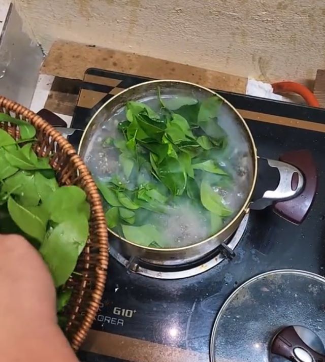 Ôm sôi nồi thịt trâu thì cho lá lồm vào nấu - Ảnh sưu tầm