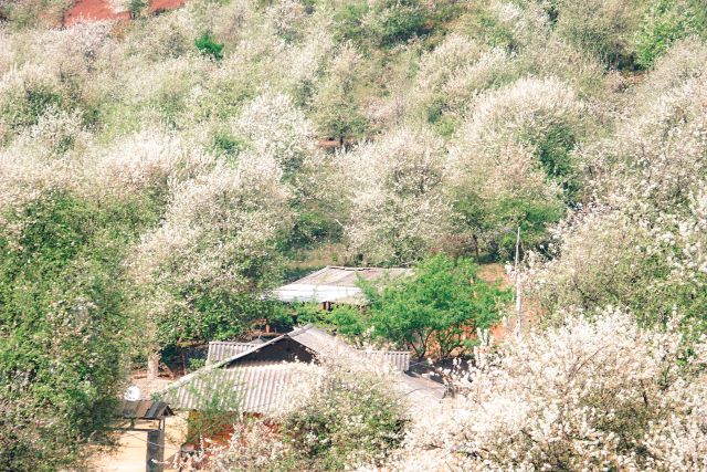 Tây Bắc Mảnh đất đầy thơ mộng - Ảnh từ Nguyễn Trọng Cung Tây Bắc Mảnh đất đầy thơ mộng - Ảnh từ Nguyễn Trọng Cung