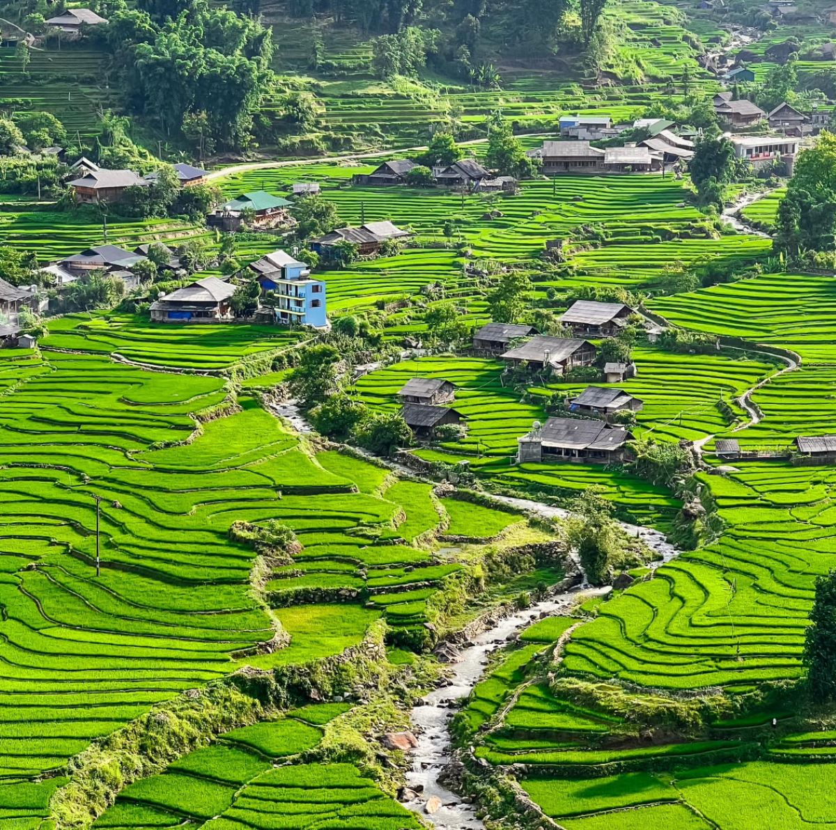 Bản Tả Van: Khám phá bản làng đầy thơ mộng - Ảnh từ Nguyễn Minh Đức