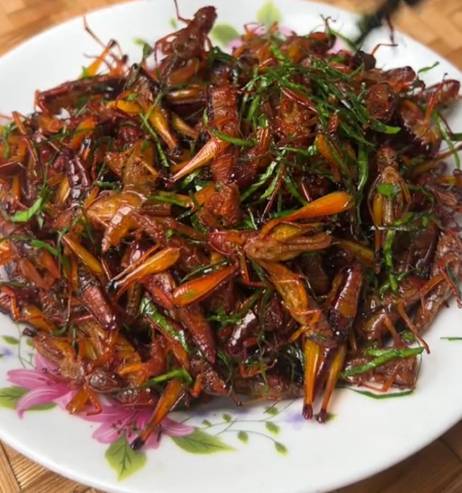 Châu chấu rang lá chanh - Ảnh sưu tầm