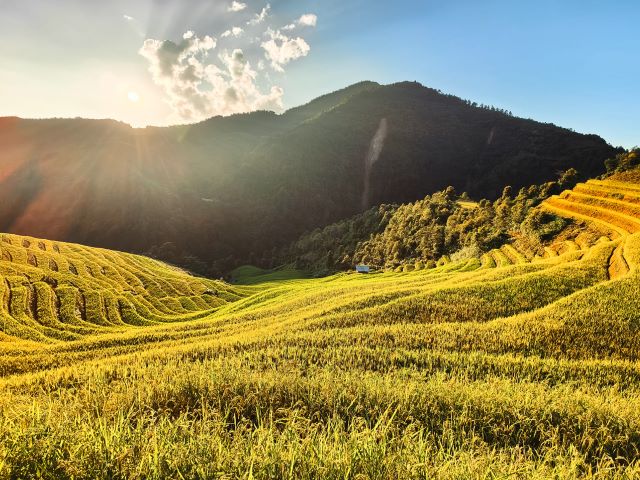 Check in sống ảo tại những thửa ruộng bậc thang - Ảnh từ Nguyễn Trọng Cung