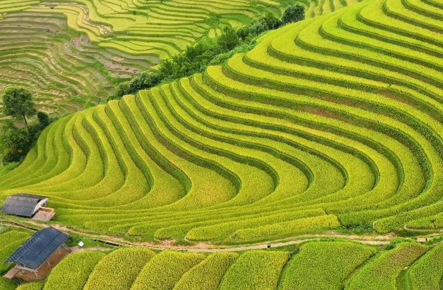 Khám phá Mù Cang Chải - Ảnh từ Toro Pan