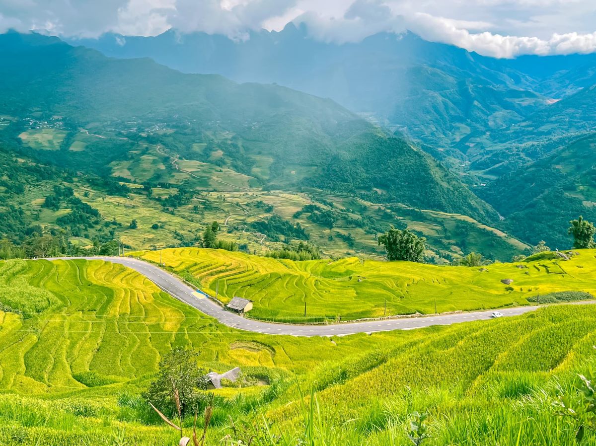 Ruộng bậc thang Mù Cang Chải - Ảnh từ Chu Đức Giang