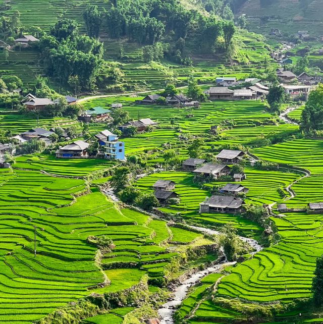 Bản làng Tả Van - Ảnh từ Nguyễn Minh Đức Bản làng Tả Van - Ảnh từ Nguyễn Minh Đức