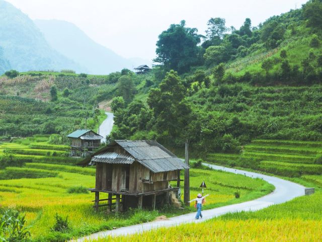 Cảnh quan thiên nhiên tuyệt đẹp tại bản Nậm Cang - Ảnh từ Hoàng Thùy Dương Cảnh quan thiên nhiên tuyệt đẹp tại bản Nậm Cang - Ảnh từ Hoàng Thùy Dương