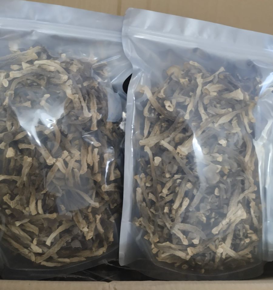Công dụng hữu ích của Nấm Lộc Nhung - Ảnh từ Nguyễn Bảo Ngọc Công dụng hữu ích của Nấm Lộc Nhung - Ảnh từ Nguyễn Bảo Ngọc