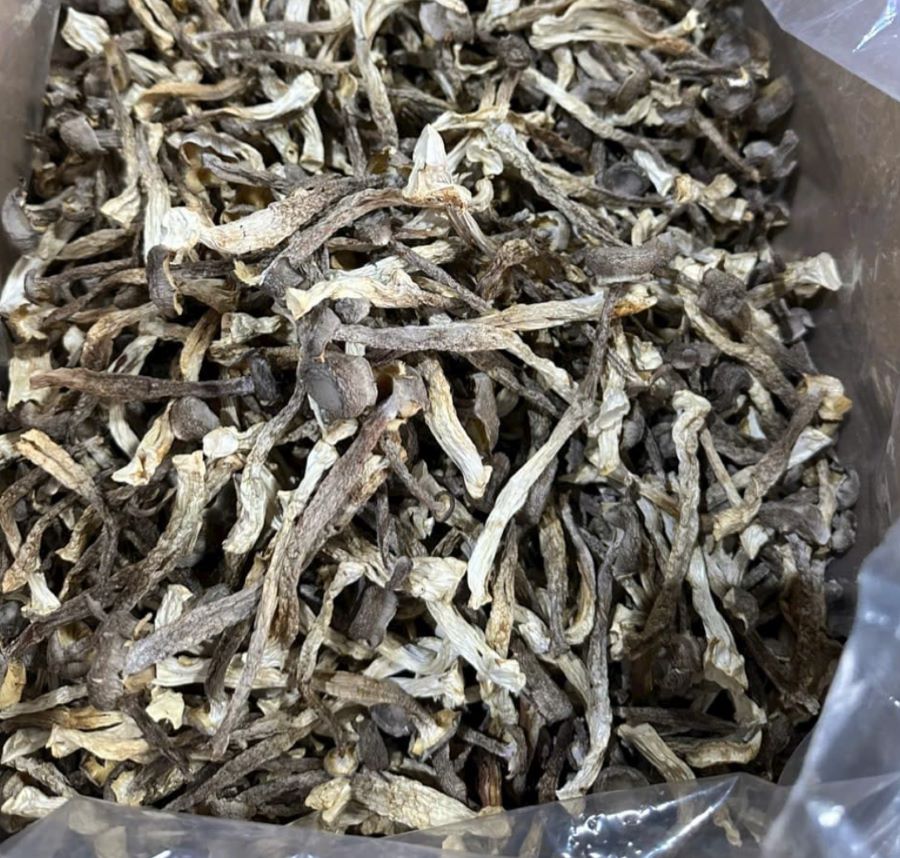 Giá trị dinh dưỡng của Nấm Lộc Nhung - Ảnh từ Nguyễn Bảo Ngọc Giá trị dinh dưỡng của Nấm Lộc Nhung - Ảnh từ Nguyễn Bảo Ngọc