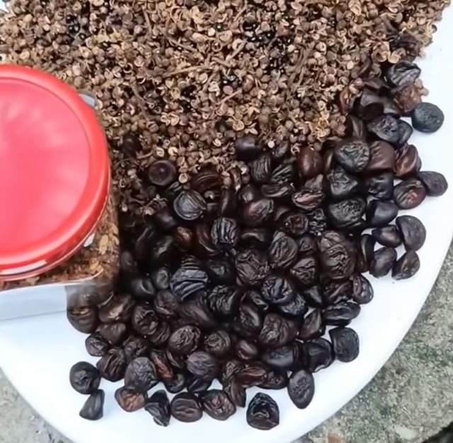 Hạt dổi, mắc khén chuẩn quà Tây Bắc - Ảnh sưu tầm Hạt dổi, mắc khén chuẩn quà Tây Bắc - Ảnh sưu tầm
