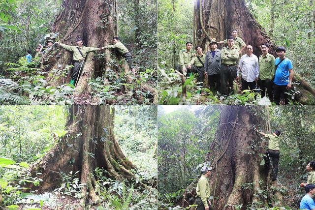 Khu Bảo Tồn Thiên Nhiên Ngọc Sơn – Ngổ Luông - Ảnh từ Báo Hòa Bình