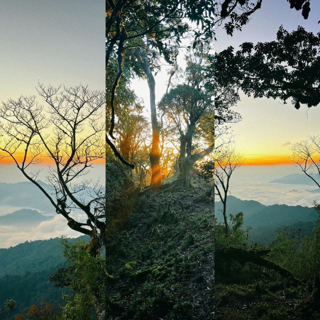 Khu Bảo Tồn Thiên Nhiên Tà Xùa - Ảnh từ Meditours Đi Là Mê