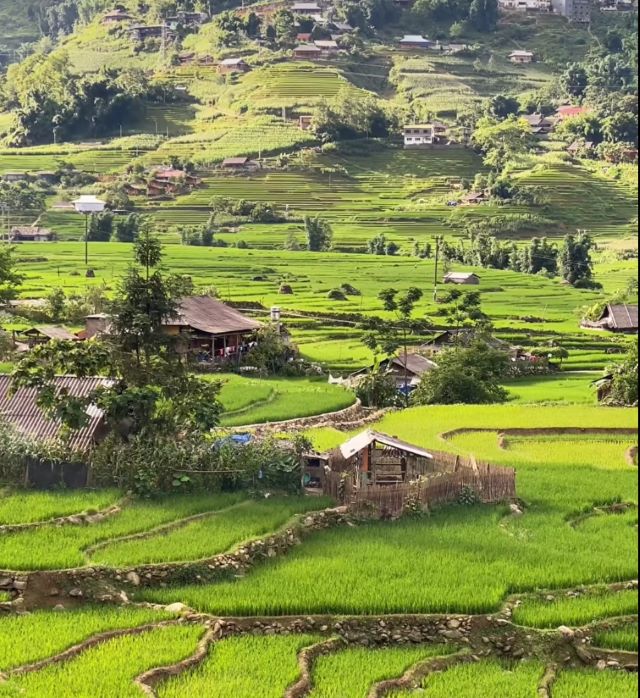 Vẻ đẹp yên bình tại Bản Lao Chải - Ảnh sưu tầm Vẻ đẹp yên bình tại Bản Lao Chải - Ảnh sưu tầm