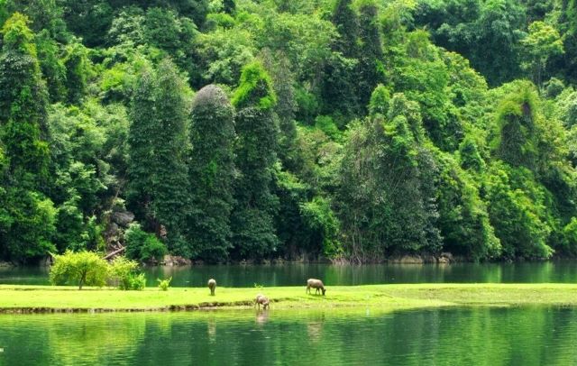 Vườn Quốc Gia Ba Bể - Ảnh từ Ngọc Châu