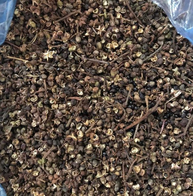 Mắc khén thật có mùi thơm và hương vị cay tê rất đặc trưng - Ảnh từ Trần Gấm Mắc khén thật có mùi thơm và hương vị cay tê rất đặc trưng - Ảnh từ Trần Gấm
