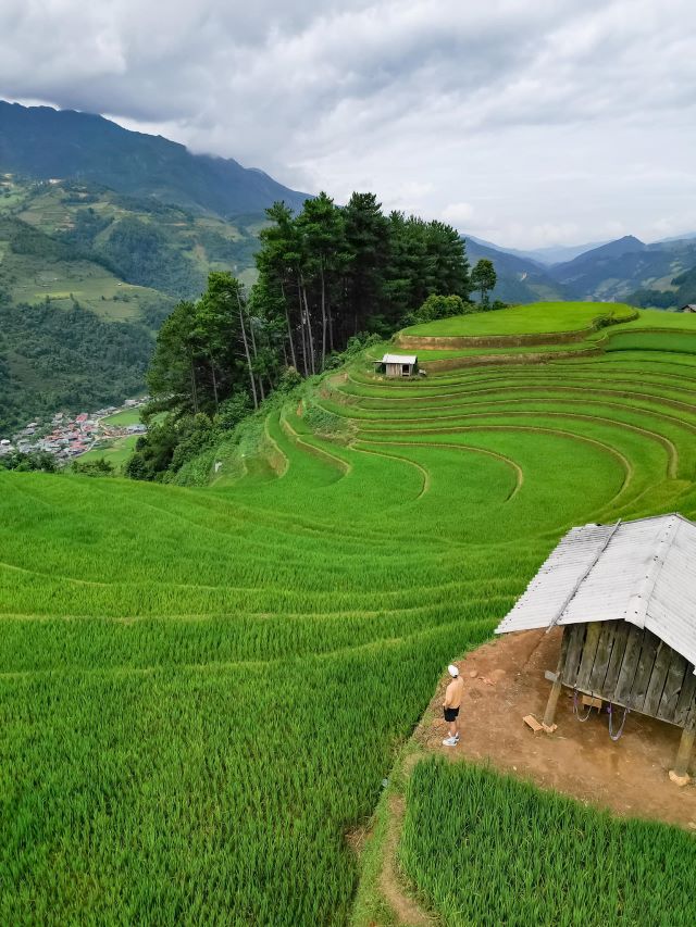 Mù Cang Chải Yên Bái - Ảnh từ Việt Long