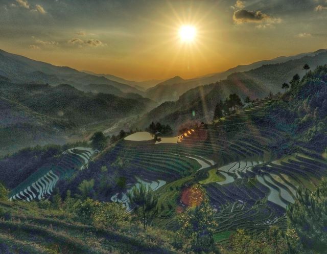 Mùa nước đổ ở Mù Cang Chải đẹp tựa như một bức tranh - Ảnh từ Vuong Xuan Phu Tran