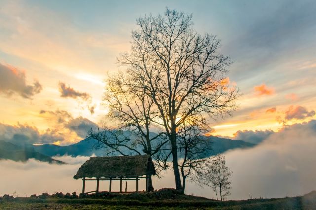 Ngải Thầu Thượng Lào Cai vào mùa đông - Ảnh từ PYS Travel