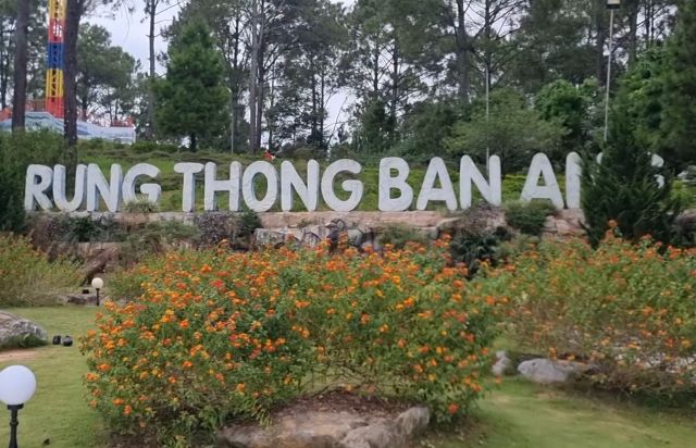 Thăm thú Rừng thông Bản Áng - Ảnh sưu tầm