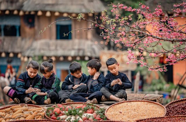 Bản Cát Cát Sapa - Ảnh sưu tầm