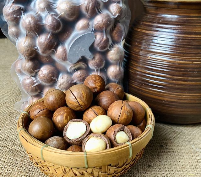 Điện Biên là tỉnh dẫn đầu cả nước về diện tích mắc ca - Ảnh sưu tầm