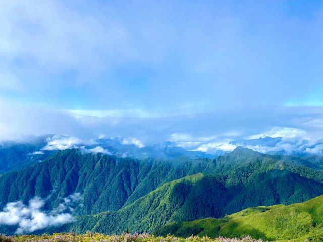 Khám phá hệ sinh thái đa dạng ở Tà Chì Nhù - Ảnh từ Phan Long Nguyen
