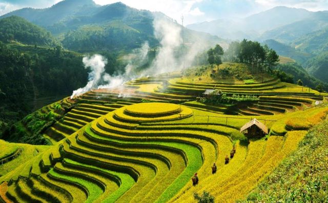 Lời nguyền rừng thiêng Tây Bắc – Những câu chuyện kỳ bí từ dân gian - Ảnh sưu tầm