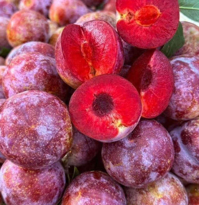 Bên trong, thịt mận hậu chín có màu đỏ hồng đẹp mắt, mọng nước - Ảnh sưu tầm