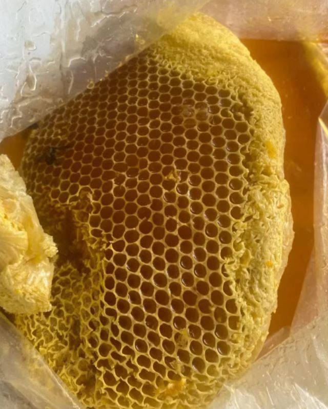 Lý do nên chọn mua mật ong rừng nguyên tổ Ảnh từ Phạm Hợp Lý do nên chọn mua mật ong rừng nguyên tổ Ảnh từ Phạm Hợp