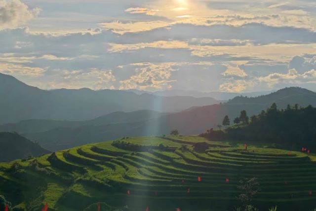 Check in Ruộng bậc thang Háng Khúa