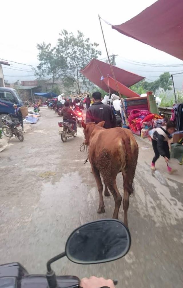 Giao lưu văn hóa với người dân bản địa tại chợ Cốc Pài để hiểu rõ hơn về đời sống người dân ở đây