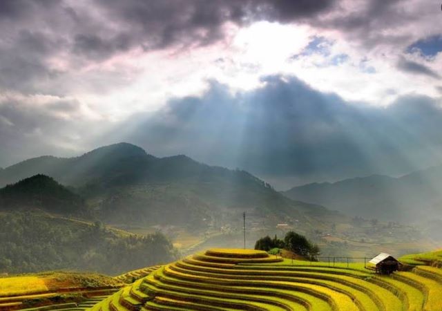 Ruộng bậc thang Hoàng Su Phì