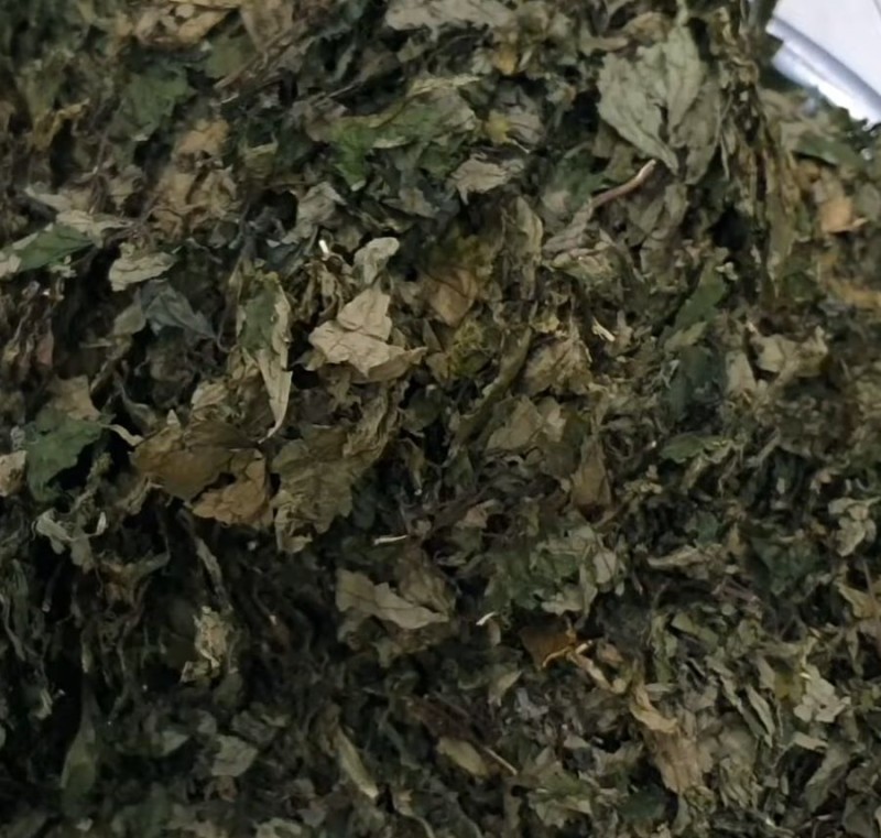 Lá rau đắng khô - Ảnh từ đặc sản điện biên