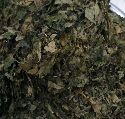 Lá rau đắng