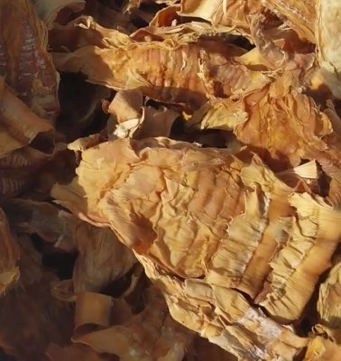 Măng nứa khô