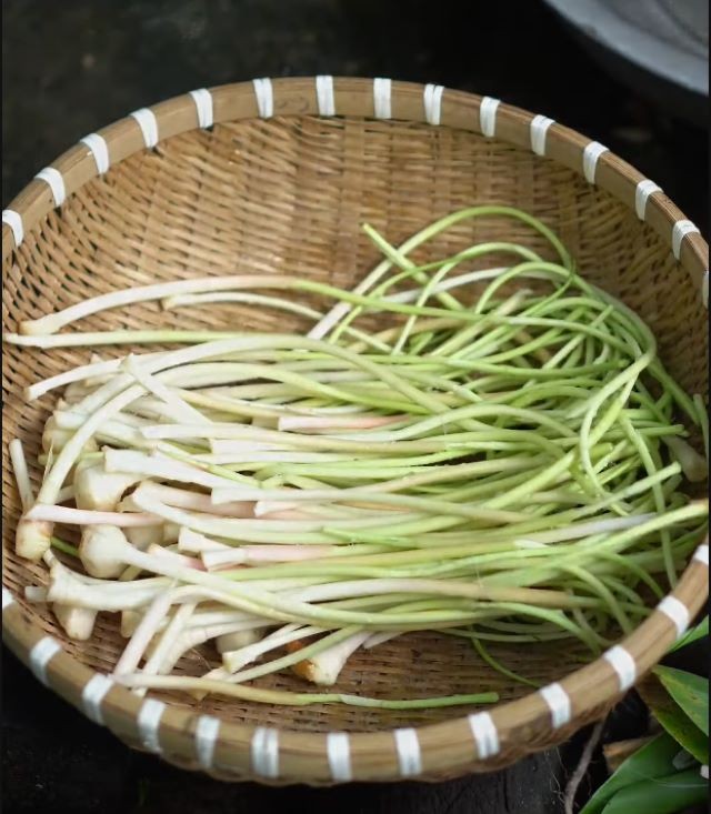 Măng riềng tươi - Ảnh từ Ẩm thực Đồng Hao