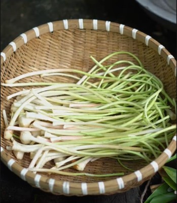 Măng riềng