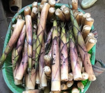 Măng sặt tươi