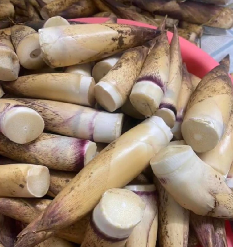 Măng vầu tươi - Ảnh từ handoi994