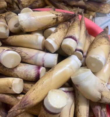 Măng vầu tươi