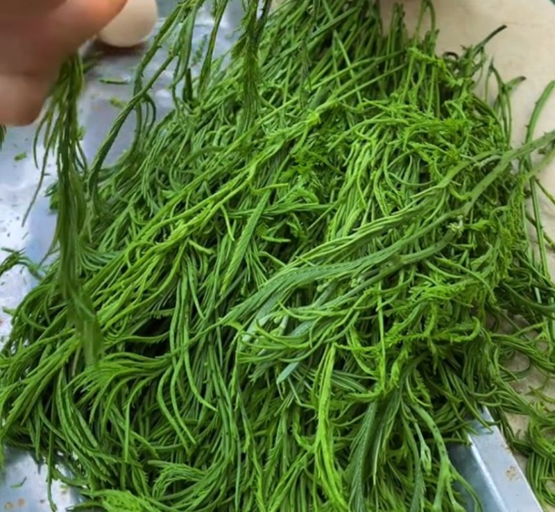 Rau thối - Ảnh từ hantaybac9999